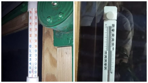 термометр 50