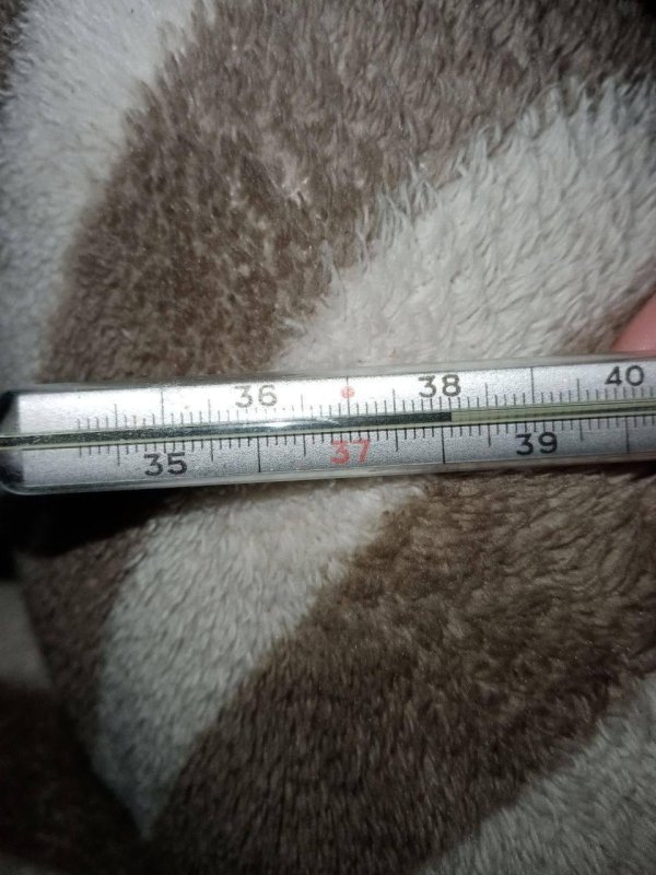 температура на градуснике 38