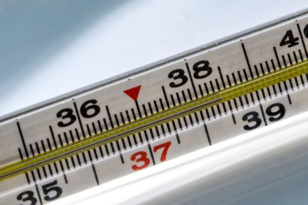 ртутный градусник 383