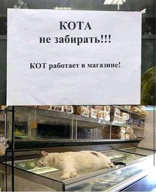 прикольные объявления в магазинах