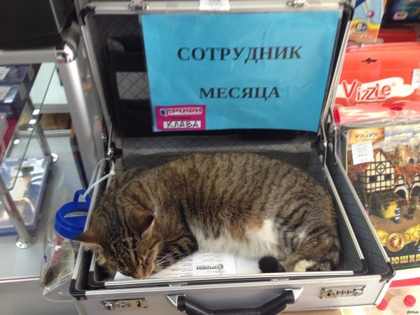 работник года