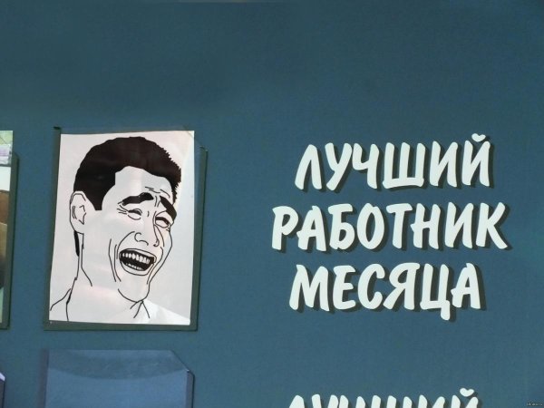 работник месяца