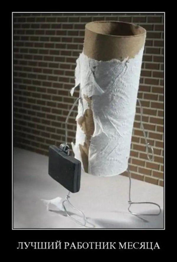 планктон офисный