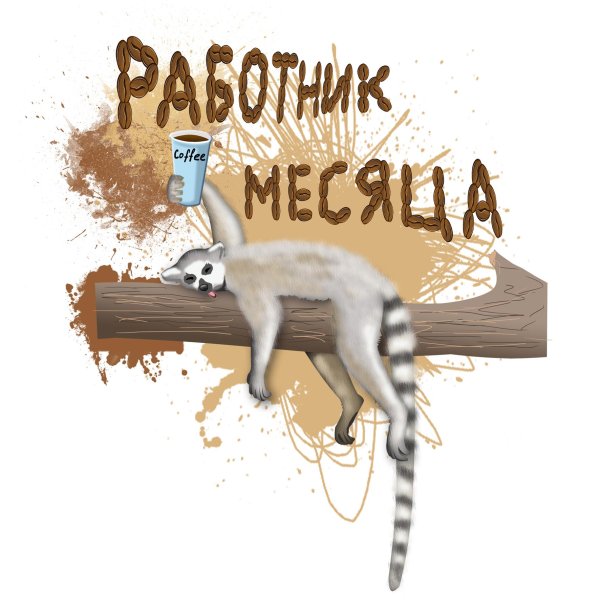 лемур животное