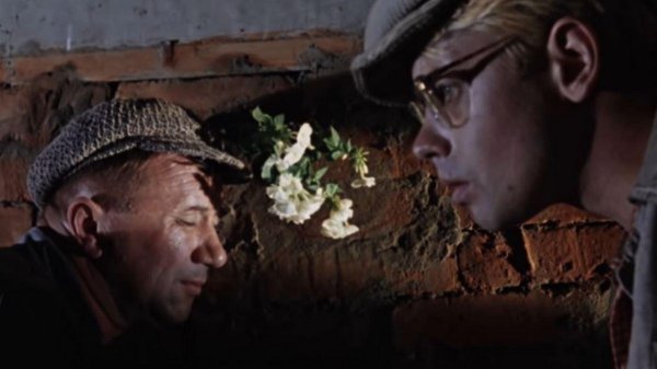 напарник операция ы