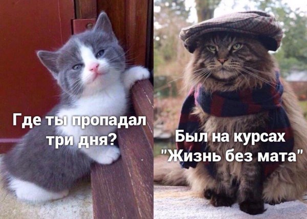 Куда все пропали