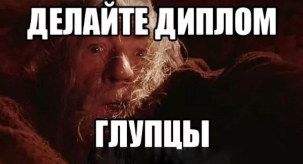 беги глупец