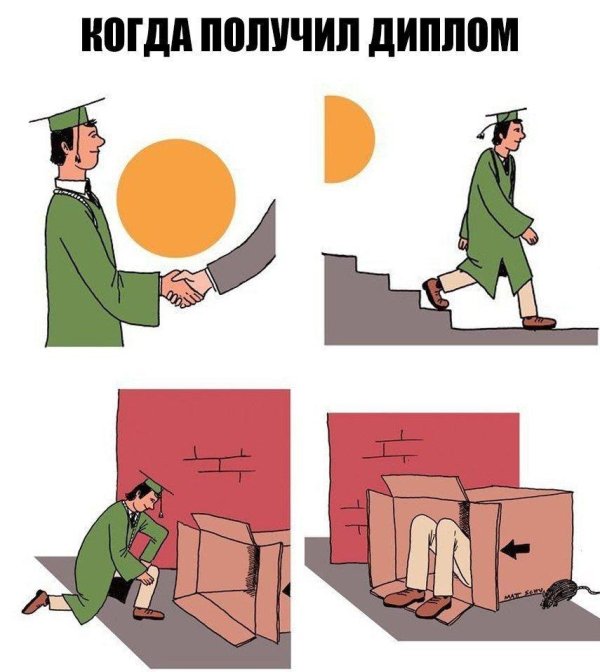 современное образование прикол