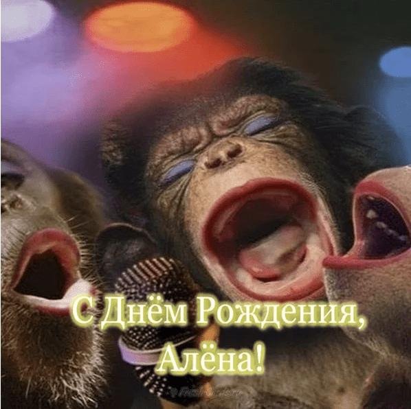 Алена с днюхой