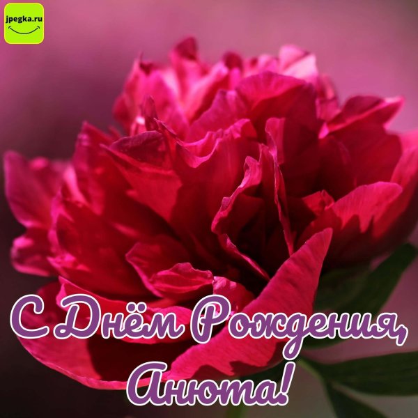 с днем рождения анюта