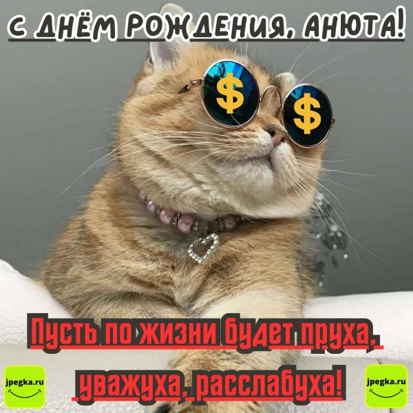 кошка смешная