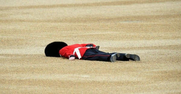 королевские гвардейцы