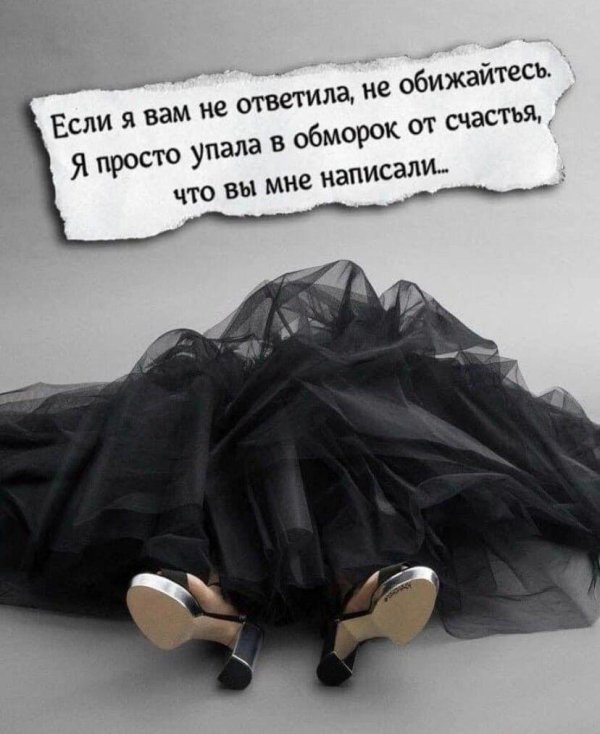 веселые высказывания