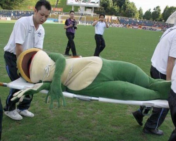 лягушонок кермит спит