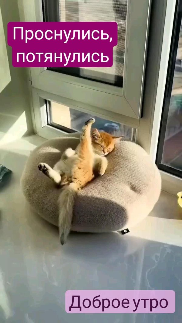 сладко потянулся