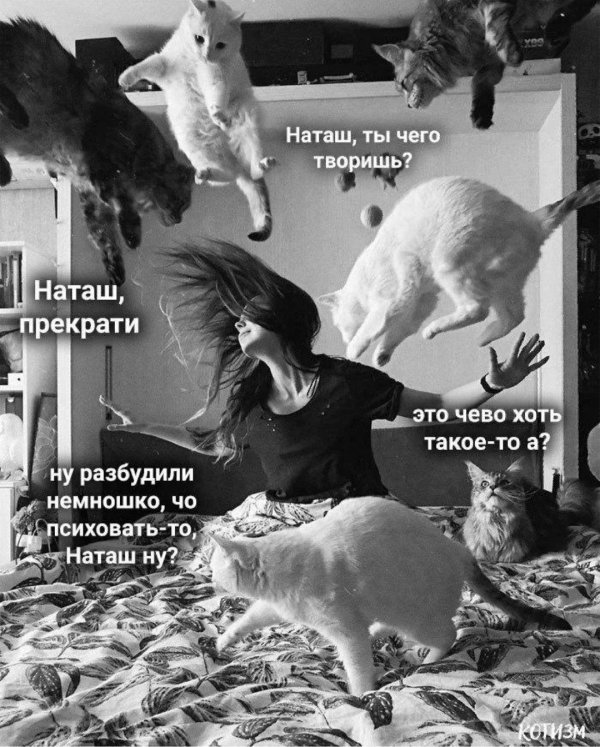 наташа вставай