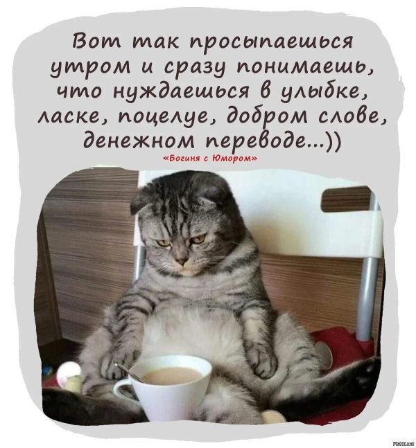 проснулся утром