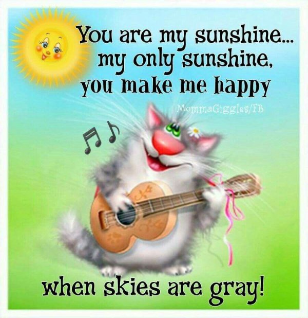 поющие котики