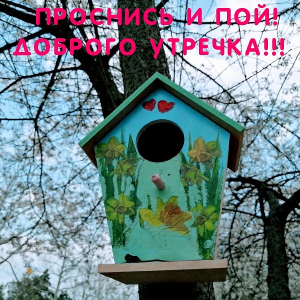 красивые скворечники