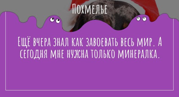 веселые высказывания