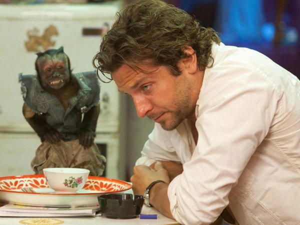 купер брэдли