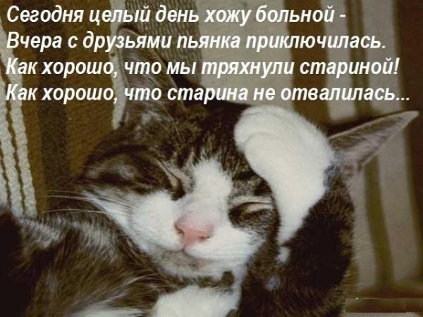 открытки после пьянки прикольные