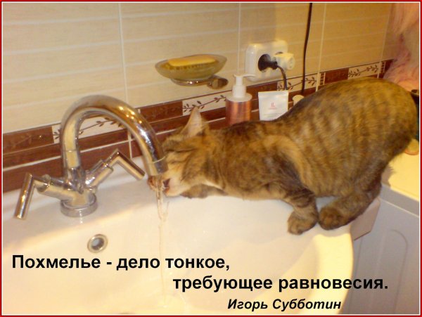 открытка с похмелья прикольная