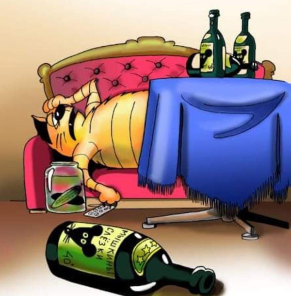 прикольные рисунки котов