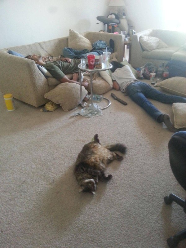 вечеринка удалась