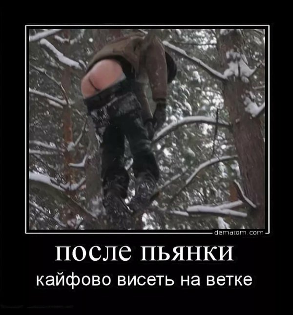 пьянка прикол