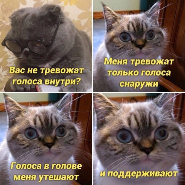 только голоса