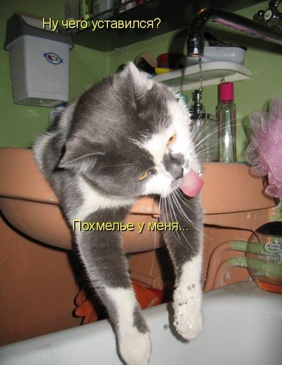 похмелье картинки