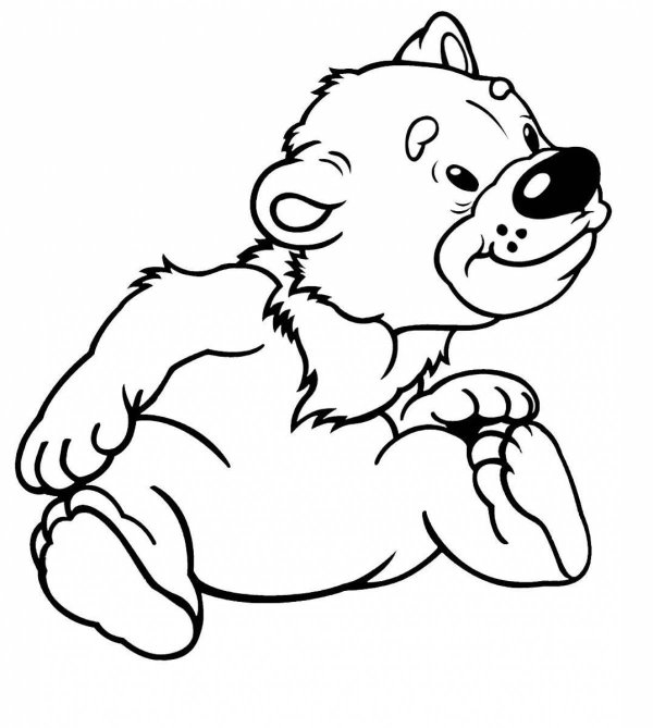 медвежата раскраска