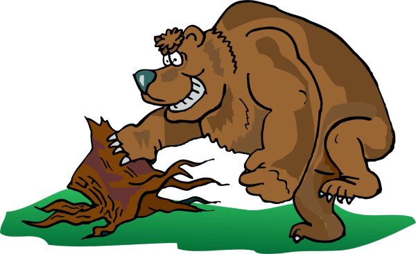 медведи рисунки