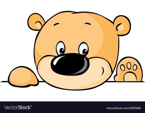 мордочка медвежонка