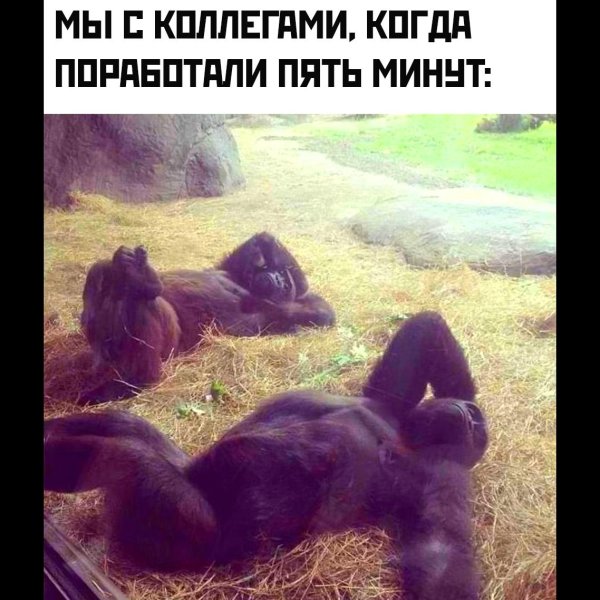 На чили на расслабоне