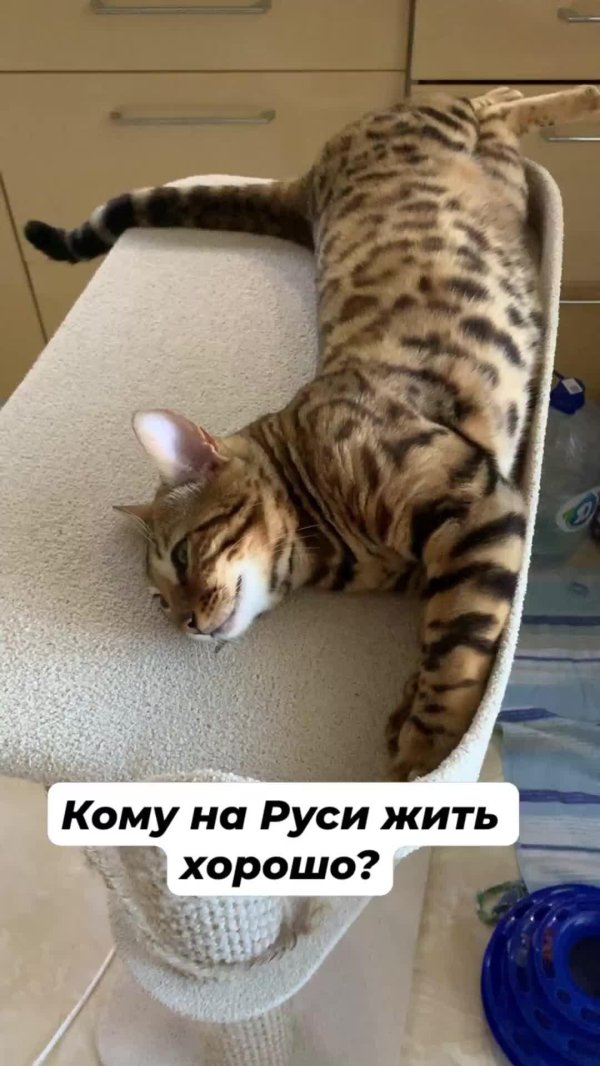 жить хорошо