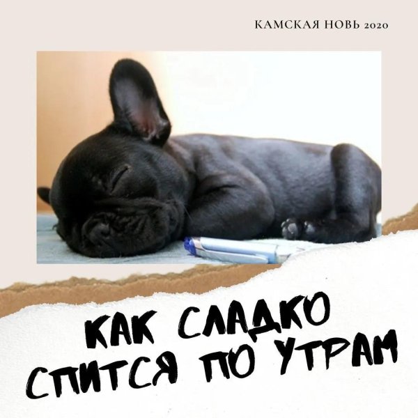 Нас ждут великие дела