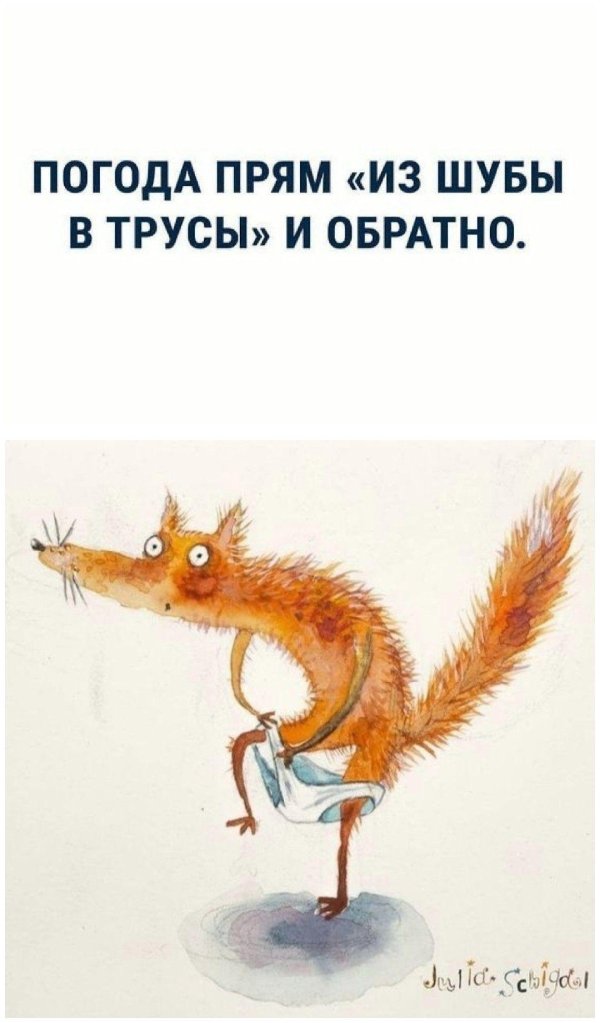 иллюстрация лиса