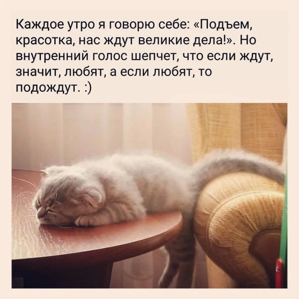 я каждое утро