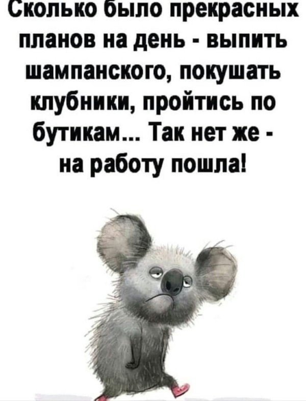 веселые высказывания