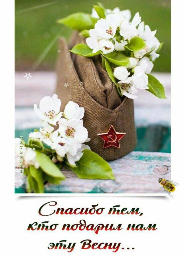 открытки на 9 мая день победы