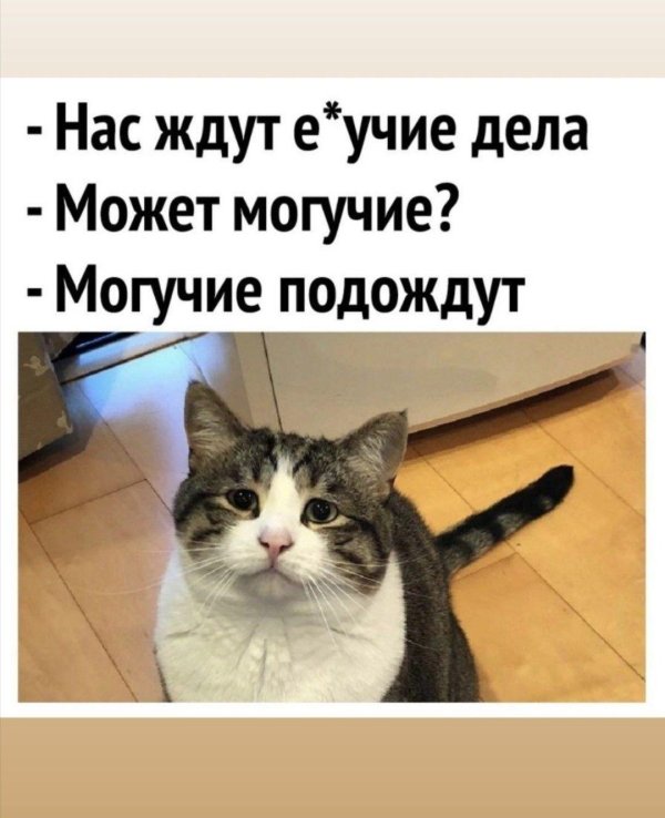 нас ждут могучие дела