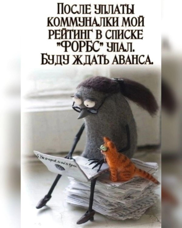 смешная открытка