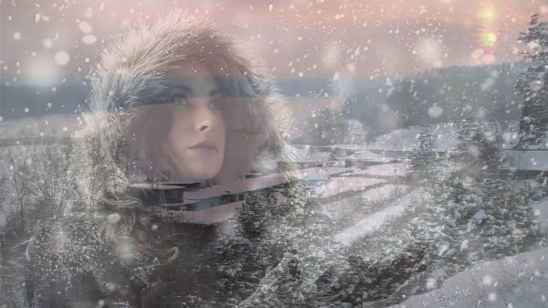 метель зимой