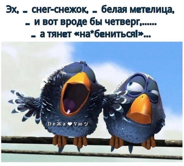 птички пиксар