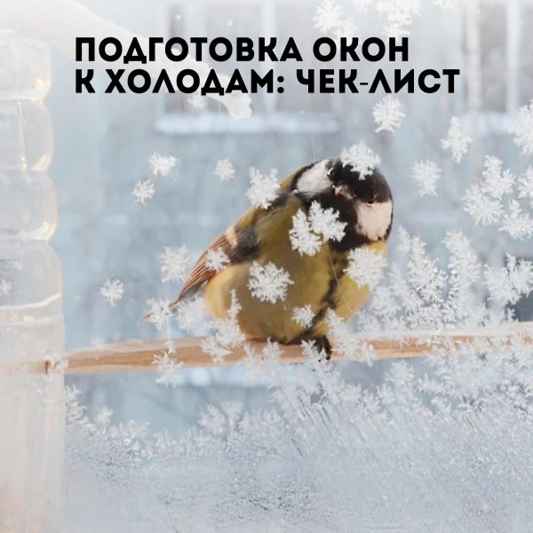 зимующие птицы синица