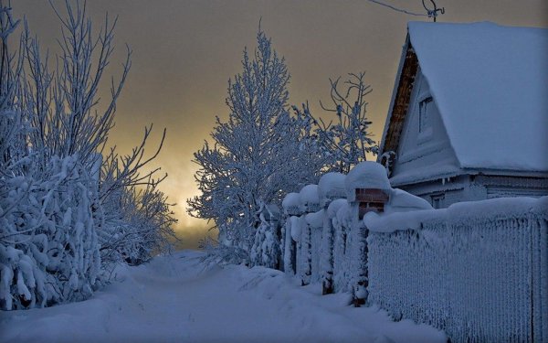 зимние пейзаж