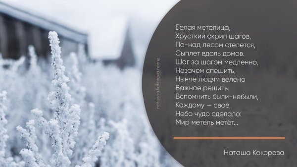 метель стих