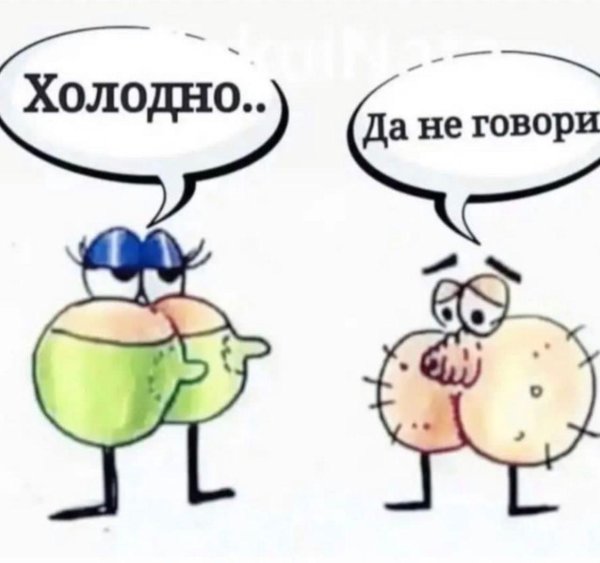 смешная шутка